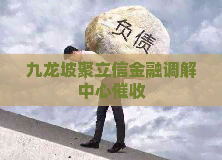 坡聚立信金融调解中心qy球友会体育九龙